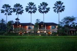 a house in front of a rice field and palm trees at 2 Bedrooms Private Pool Villa Tegalalang-Ubud in Tegalalang