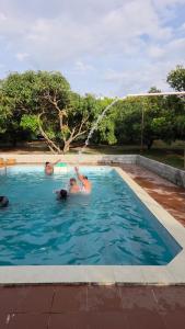 Bazén v ubytování Mango Bite Farmstay nebo v jeho okolí + 36 fotografií