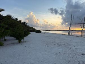 Φωτογραφία από το άλμπουμ του Coconut Palm Dhidhoo σε Ariyaddu