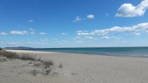 Φυσικό τοπίο κοντά σε αυτό το διαμέρισμα +16 φωτογραφίες