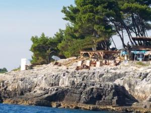 een uitzicht op een rotseiland in het water bij Holiday House Altea in Banjole
