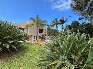a house with palm trees in front of a yard at The Lookout Guesthouse in Uvongo Beach +12 photos