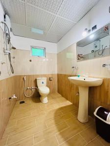 a bathroom with a toilet and a sink at Palitha Homestay in Sigiriya
