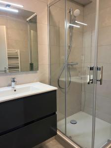 een badkamer met douche en wastafel bij Le Vieux Bourg Apartment 2 in Le Bourg-dʼOisans