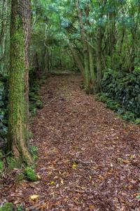 Gallery image of O Farrobo in Madalena