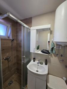 Un baño con lavabo y ducha en Apartman Bibi centar, en Niš 6 fotos más