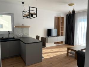 a kitchen and living room with a black counter top at Apartament in Ipotești in Ipoteşti