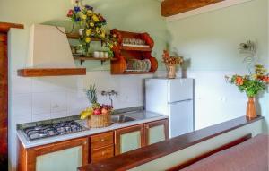 eine Küche mit einem weißen Kühlschrank und einer Spüle in der Unterkunft Cav D'italia E Falco Pescator in Pucciarelli