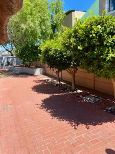 a brick sidewalk with trees in front of a building at Ubuntu Guest House in Cape Town