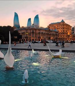 un grupo de cisnes en el agua en una ciudad en Baku Hostel VIP, en Baku