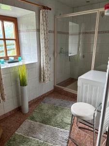 uma casa de banho com um chuveiro, uma cadeira e uma janela. em Preisöxlhütte in Sankt Veit em Schwarzenbach