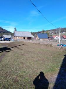 a shadow of a person flying a kite in a field at Casa Dominic in Gîrda de Sus