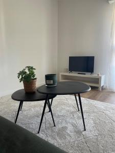 Et tv og/eller underholdning på À deux pas du centre ville + 5 billeder