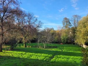 a grassy field with trees on a sunny day at Castel Saint Laurent in Langeais