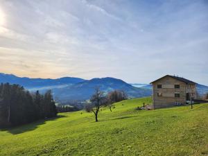 a house on a hill in a green field at Blickfang Bregenzerwald in Langenegg