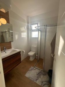 a bathroom with a sink and a toilet and a shower at Квартира Апартаменты in Paralimni