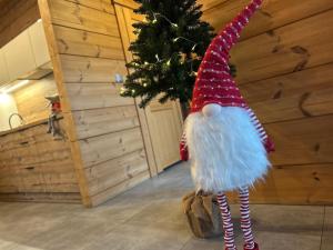 ジブヌフにあるApartamenty Naturapartのクリスマスツリーの前にクリスマスの小人が立っています +28枚の写真