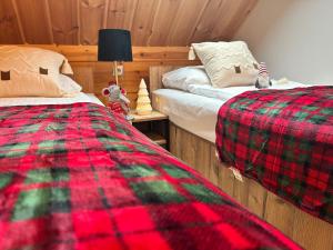 ジブヌフにあるApartamenty Naturapartの寝室には赤と緑の毛布が掛けられたベッドが2つある