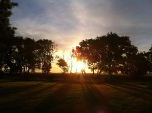 un soleil se couchant derrière des arbres dans un champ dans l'établissement Ferienhaus Kranich In Ummanz Lüßvitz, à Ummanz