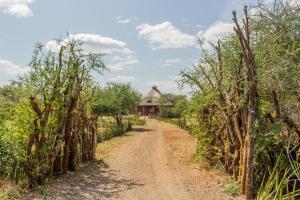 a dirt road through a vineyard with a house in the background at Naramatisho Women's Centre in Makuyuni