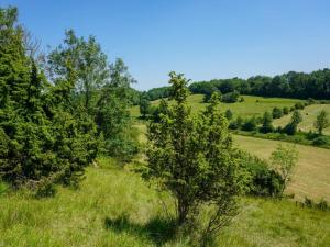 ein Baum auf einem Feld mit Gras und Bäumen in der Unterkunft Charmant appartement à la ferme, 2 chambres, Wi-Fi, proche Auxi-le-Château - FR-1-376-28 in Wavans + 3 Fotos