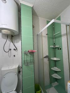 a green bathroom with a toilet and a shower at Apartment with one bedroom in Kotor +8 photos