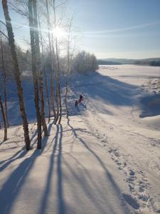 a person is skiing down a snow covered trail at Onnela Homestay Sauna Cottage in Rovaniemi