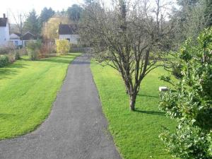 a path in a yard with a tree and grass at Maison moderne proche rivière et forêt, animaux admis - FR-1-489-128 in Urçay