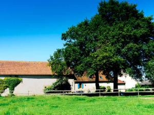 a building with a tree next to a grass field at Gîte rustique avec piscine partagée et wifi à Souvigny - FR-1-489-231 in Souvigny