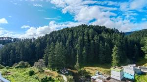 an aerial view of a forest of trees on a hill at Nishtha Homestay in Lohaghāt