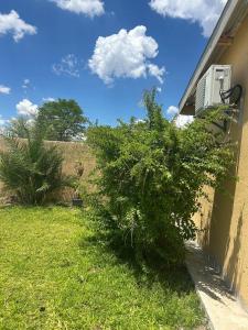 Κήπος έξω από το Emmanique Guesthouse