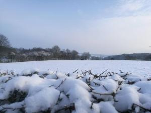 ein schneebedecktes Feld mit Bäumen im Hintergrund in der Unterkunft Charmante maison à Liessies avec jardin privé et terrasse boisée - FR-1-510-157 in Liessies