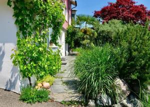Κήπος έξω από το Pilgerwohnung