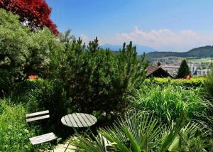 Φυσικό τοπίο κοντά σε αυτό το διαμέρισμα +19 φωτογραφίες