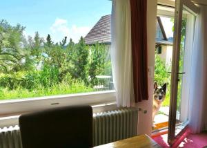 Κήπος έξω από το Pilgerwohnung