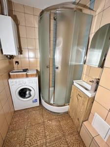 Apartament Jośki في ريبنيك: حمام صغير مع دش وغسالة ملابس