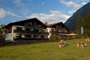 two cows grazing in a field in front of a building at Zugspitz Traumapartment in Farchant