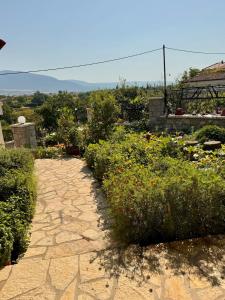 un jardin avec des fleurs et une allée en pierre dans l'établissement Angie Kipos by Thanasis Papaioannou, à Evangelístria