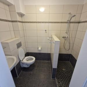 un baño con inodoro y lavabo en Sankt Johannerhof, en Ternitz