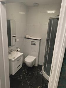 ein Badezimmer mit Toilette, Waschbecken und Dusche in der Unterkunft Maciejowa Chata Stare Lubiejewo in Ostrów Mazowiecka + 15 Fotos