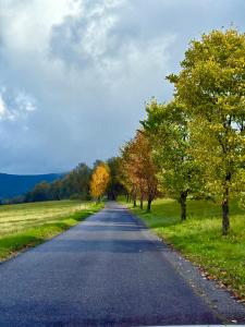 una carretera vacía con árboles a ambos lados en Venkovský Útulek, en Lázně Libverda