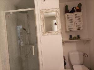 ein Bad mit einer Dusche, einem WC und einem Spiegel in der Unterkunft Près Gare T2 42m2 avec jardinet-terrasse 10m2 in Angoulême + 13 Fotos
