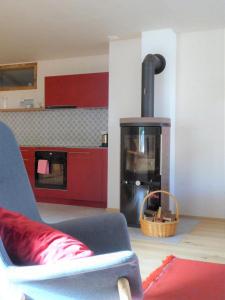 sala de estar con chimenea en la cocina en Biala Biobergün, en Bergün