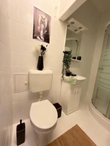 Koupelna v ubytování Boldog Deluxe apartman