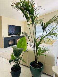 two plants in large pots in a living room at Villa Vista in Wassenaar +53 photos
