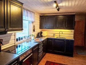 a kitchen with black cabinets and a sink at Holiday Home Lettibu by Interhome in Madland +30 photos