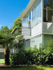 a white house with a palm tree in front of it at Villa Vista in Wassenaar