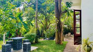 a garden with a bench and a tree at Casamia Tangalle - Relaxing Cozy Homestay Hiriketiya in Sinimodera