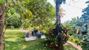 a net hanging from a tree in a park at Casamia Tangalle - Relaxing Cozy Homestay Hiriketiya in Sinimodera
