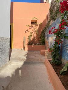 Φωτογραφία από το άλμπουμ του Yuba Surf Morocco σε Tamraght Ouzdar